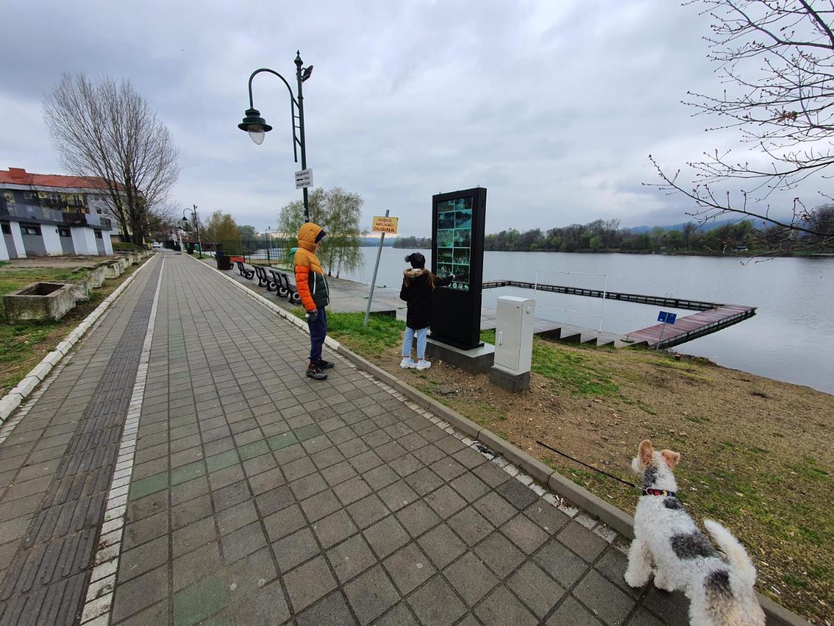 Appartamento Andjelka A26 Veliko Gradište Esterno foto