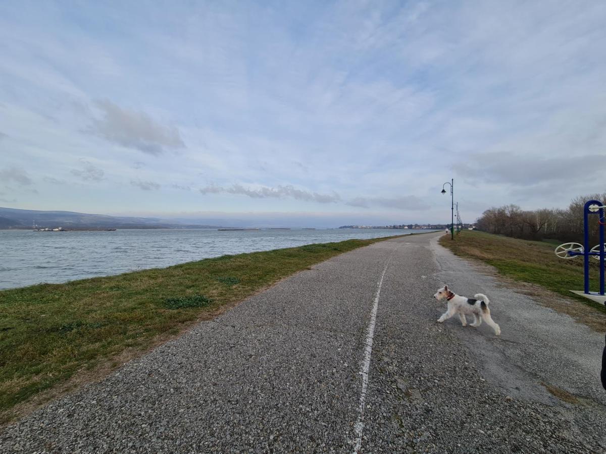 Appartamento Andjelka A26 Veliko Gradište Esterno foto
